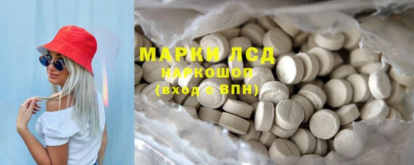 PSILOCYBIN Верхний Тагил