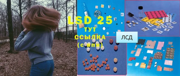 PSILOCYBIN Верхний Тагил