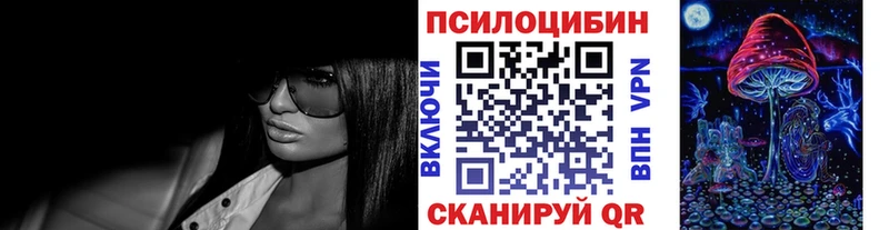 hydra ССЫЛКА  Сретенск  Псилоцибиновые грибы Magic Shrooms  купить наркотики цена 